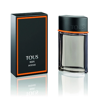 Туалетная вода TOUS Man Intense 4851071
